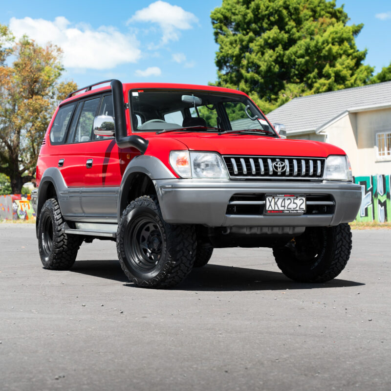 NINEZ STAINLESS SNORKEL